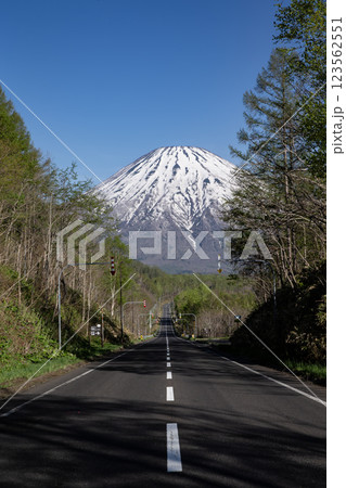 羊蹄山に続く道 123562551