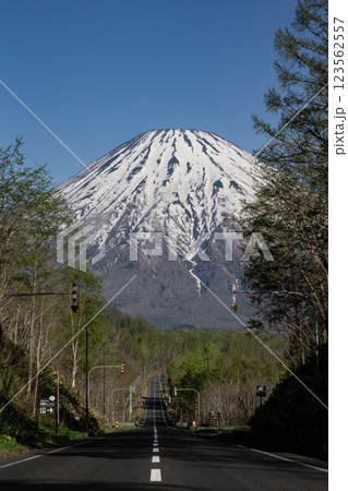 羊蹄山に続く道 123562557