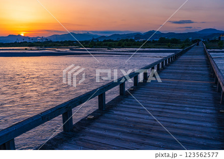 【静岡県】島田市の蓬莱橋　夕景 123562577