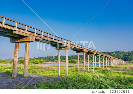 【静岡県】島田市の蓬莱橋　午後 123562611