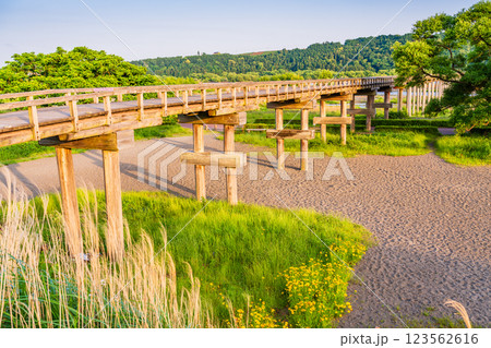 【静岡県】島田市の蓬莱橋　午後 123562616