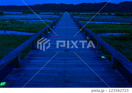 【静岡県】島田市の蓬莱橋　日が暮れて 123562723