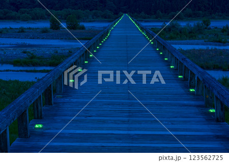 【静岡県】島田市の蓬莱橋　日が暮れて 123562725