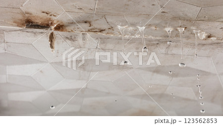 Close up, house Ceiling Water leak from rain or broken pipe. Water leaking on ceiling tile board and create dirty stain of flowing water 123562853