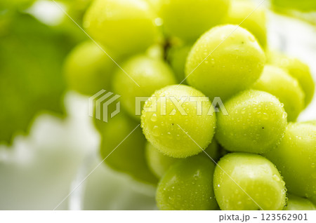 シャインマスカットと葉 123562901
