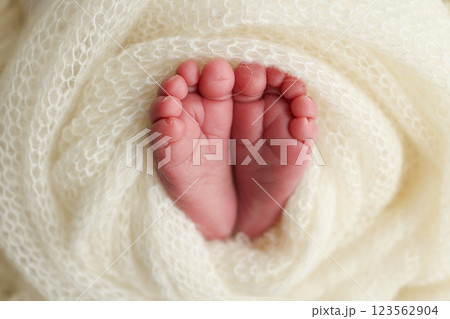 Soft feet of a newborn in a white woolen blanket. Close up of toes, heels and feet of a newborn baby Soft feet of a newborn in a white woolen blanket. Close up of toes, heels and feet of a newborn baby 123562904