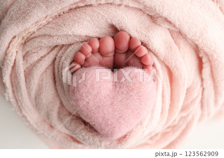Soft feet of a new born in a wool pink blanket. Closeup of toes, heels and feet of a newborn. Knitted pink heart in the legs of baby. Macro studio photography The tiny foot of a newborn baby. Soft feet of a new born in a wool pink blanket. Closeup of toes, heels and feet of a newborn. Knitted pink heart in the legs of baby. Macro studio photography The tiny foot of a newborn baby. 123562909