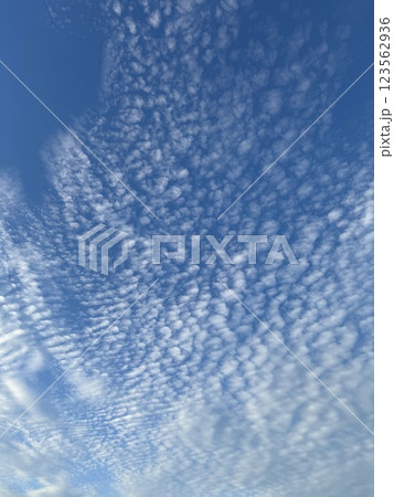 Sky filled with delicate altocumulus cloud formations Sky filled with delicate altocumulus cloud formations 123562936