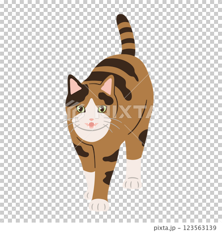 Illustration of a walking calico cat 123563139