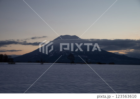 雪原の羊蹄山 雪原の羊蹄山 123563610