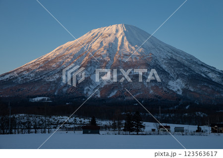 雪原の羊蹄山 雪原の羊蹄山 123563617