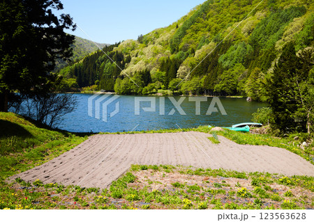 春の中綱湖 123563628