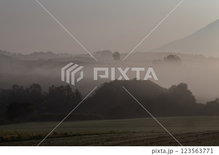 朝霧の大地 123563771