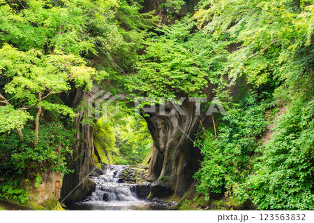 【千葉県】清水渓流広場（濃溝の滝・亀岩の洞窟）　光芒 123563832