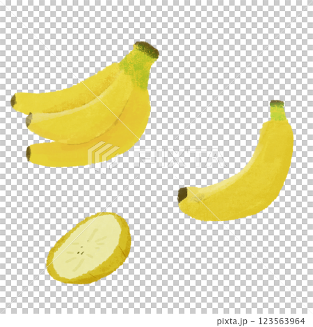 バナナの手描きカラーイラストセット 123563964