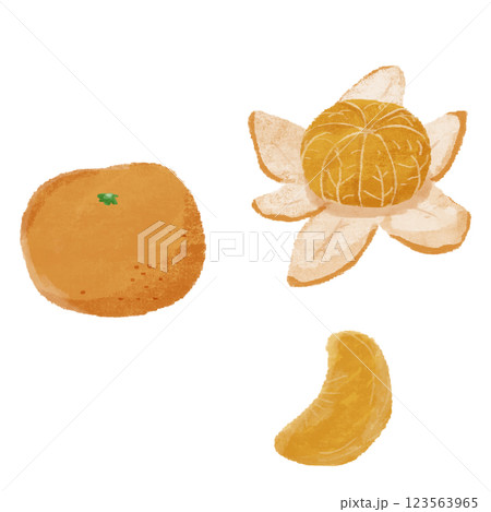 みかんの手描きカラーイラストセット 123563965