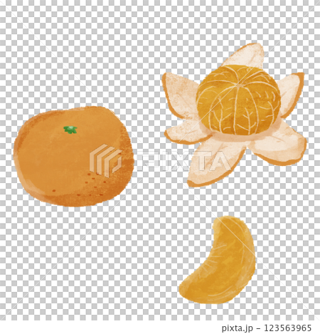 みかんの手描きカラーイラストセット 123563965