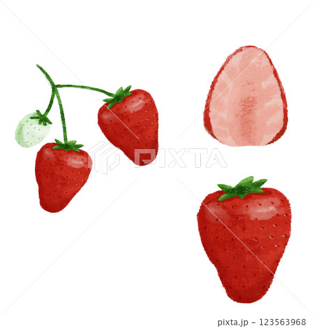 いちごの手描きのカラーイラストセット 123563968