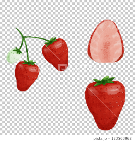 いちごの手描きのカラーイラストセット 123563968