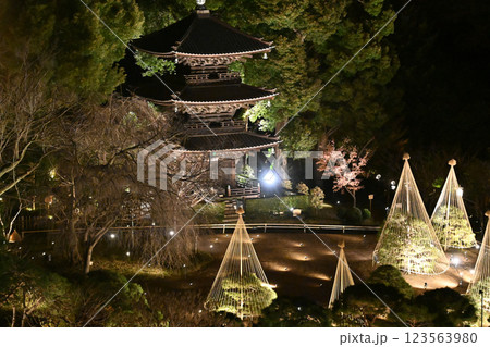 椿山荘の夜景 椿山荘の夜景 123563980