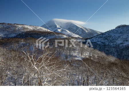 ニセコの雪山 123564165