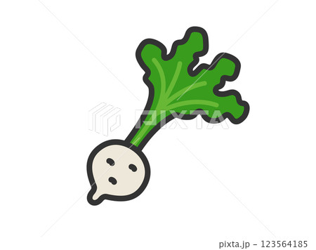 野菜のカブのアイコン（線画カラー）のイラスト 123564185
