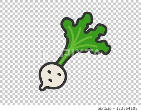野菜のカブのアイコン（線画カラー）のイラスト 123564185