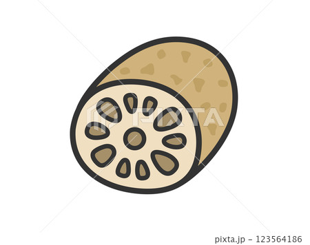 レンコンのアイコン（線画カラー）のイラスト 123564186