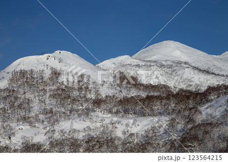 ニセコの山なみ ニセコの山なみ 123564215