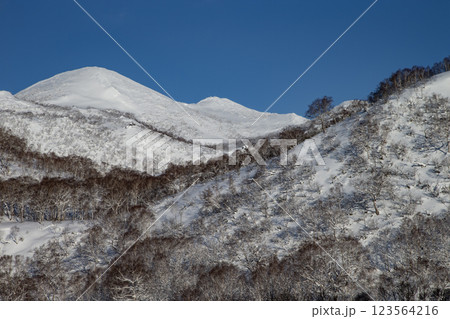 ニセコの山なみ 123564216