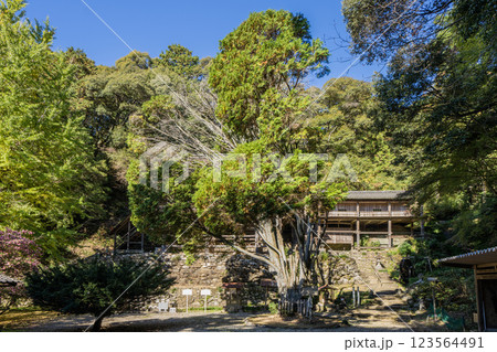 日龍峯寺高澤観音境内の景色 北条政子の寄進した多宝塔のある寺 日龍峯寺高澤観音境内の景色 北条政子の寄進した多宝塔のある寺 123564491