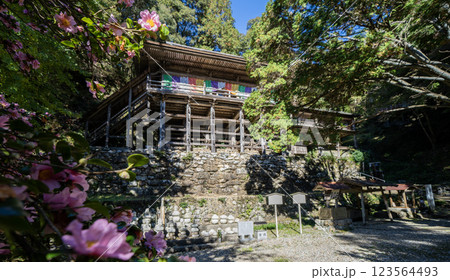 日龍峯寺高澤観音境内の景色　北条政子の寄進した多宝塔のある寺 123564493
