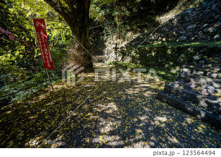 日龍峯寺高澤観音境内の景色　北条政子の寄進した多宝塔のある寺 123564494