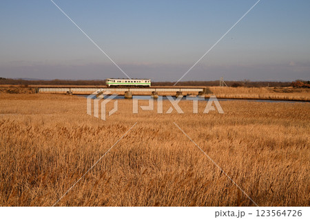 日高本線を走る普通列車 123564726