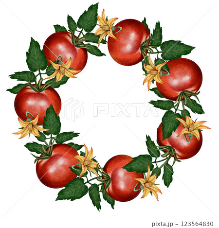 Tomato Wreath Illustration 123564830
