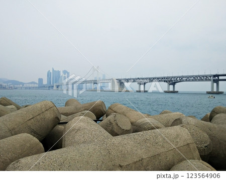 bridge over sea in Busan bridge over sea in Busan 123564906