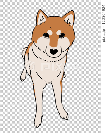 坐狗 坐狗 123564924