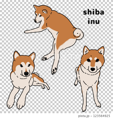 Shiba Inu illustration set Shiba Inu illustration set 123564925