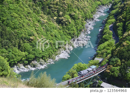 新緑の小歩危峡を駆け抜ける列車 新緑の小歩危峡を駆け抜ける列車 123564968