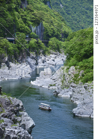 奇岩の大歩危峡を川下り 123564971