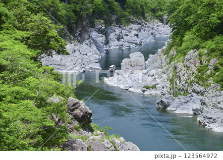 奇岩の大歩危峡を川下り 123564972