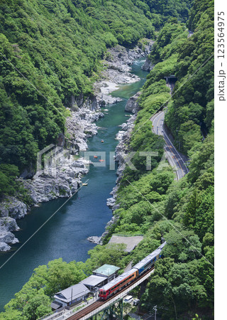 夏の小歩危峡を徐行する観光列車 123564975