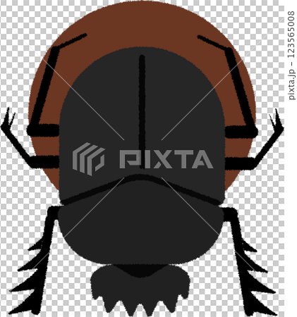 Dung beetle and droppings 123565008