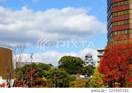 サクラマチクマモト界隈の秋の風景　 123565183