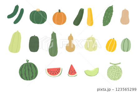 ウリ科の野菜と果物のイラストセット ウリ科の野菜と果物のイラストセット 123565299