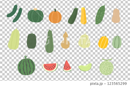 ウリ科の野菜と果物のイラストセット ウリ科の野菜と果物のイラストセット 123565299