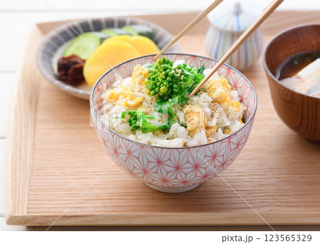 菜の花と炒り卵の混ぜご飯 菜の花と炒り卵の混ぜご飯 123565329