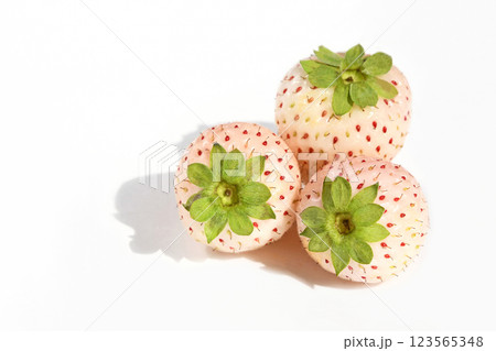 いちご(ミルキーベリー) いちご(ミルキーベリー) 123565348