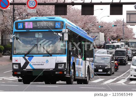 春の伏見通りを行く西武バス(鷹21:三鷹駅⇔保谷駅南口-天神山) 春の伏見通りを行く西武バス(鷹21:三鷹駅⇔保谷駅南口-天神山) 123565349