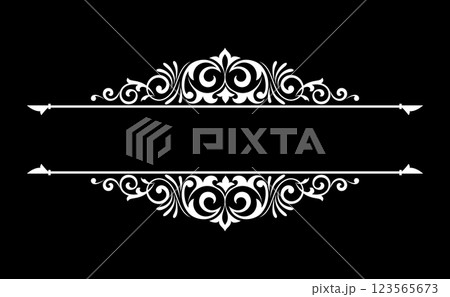 Vintage black and white element. Graphic vector design. Damask graphic ornament. 123565673